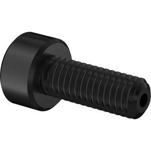 Cleaned&Bagged A2 Vacuum Socket Head Screw High-Vacuum, M3 x 0.5 mm Thread Size, 8mm Long图4